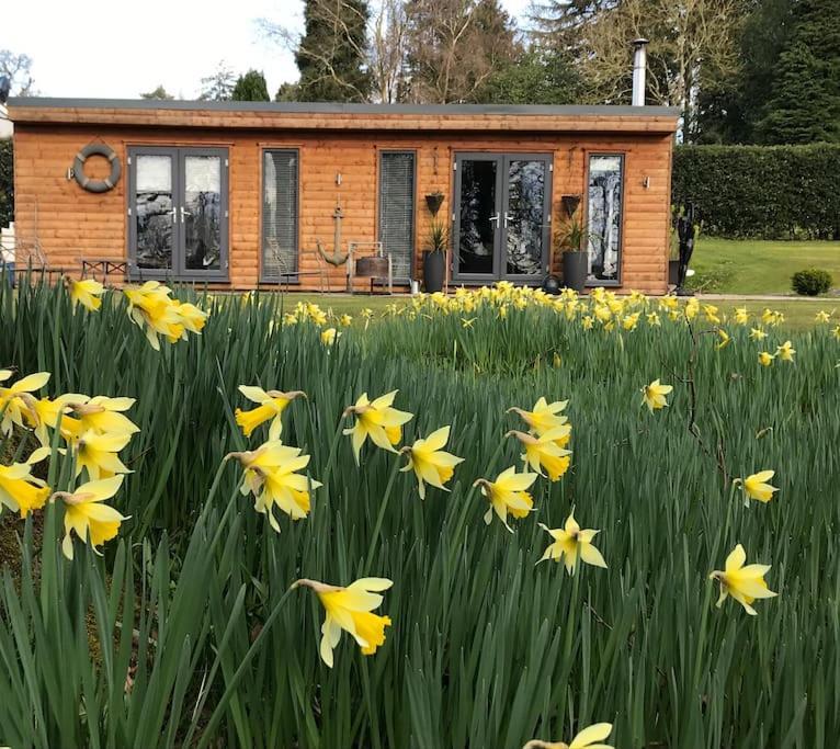 Log Cabin Rural Retreat In Beautiful Countryside Lapworth Extérieur photo